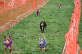Enlarge photo 139
