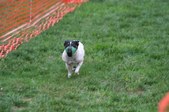 Enlarge photo 144