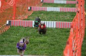 Enlarge photo 148