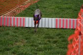 Enlarge photo 152