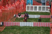 Enlarge photo 153