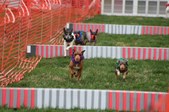 Enlarge photo 156