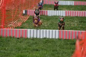 Enlarge photo 157