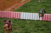 Enlarge photo 160
