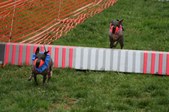 Enlarge photo 161