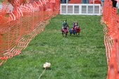 Enlarge photo 169