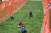 Enlarge photo 171