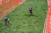 Enlarge photo 172