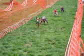 Enlarge photo 188