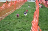 Enlarge photo 228
