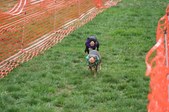 Enlarge photo 184