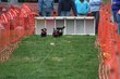 Enlarge photo 242