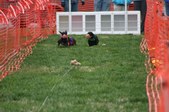 Enlarge photo 245