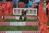 Enlarge photo 271
