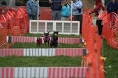 Enlarge photo 273