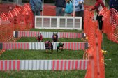 Enlarge photo 274