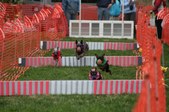 Enlarge photo 276