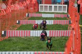 Enlarge photo 277
