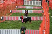 Enlarge photo 278