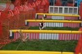 Enlarge photo 285