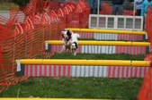 Enlarge photo 286