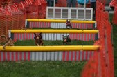 Enlarge photo 292