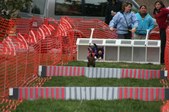 Enlarge photo 302