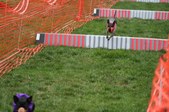 Enlarge photo 310