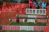 Enlarge photo 318