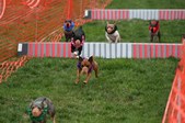 Enlarge photo 328