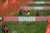 Enlarge photo 344