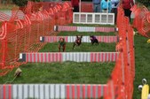 Enlarge photo 354