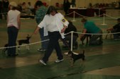 Enlarge photo 83