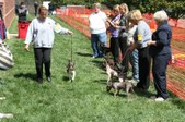 Enlarge photo 151