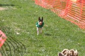 Enlarge photo 26