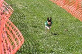Enlarge photo 29