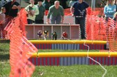 Enlarge photo 35