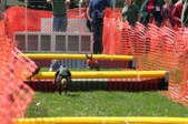 Enlarge photo 53