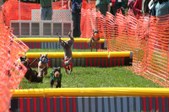 Enlarge photo 54