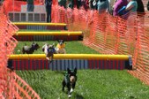 Enlarge photo 59
