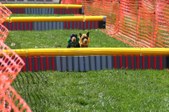Enlarge photo 64