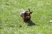 Enlarge photo 78
