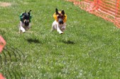 Enlarge photo 77
