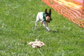 Enlarge photo 83