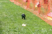 Enlarge photo 84