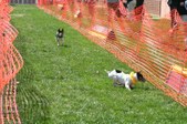 Enlarge photo 93