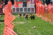 Enlarge photo 109
