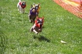 Enlarge photo 115
