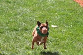 Enlarge photo 119