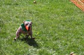 Enlarge photo 126